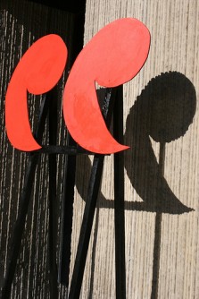 A Week in Words